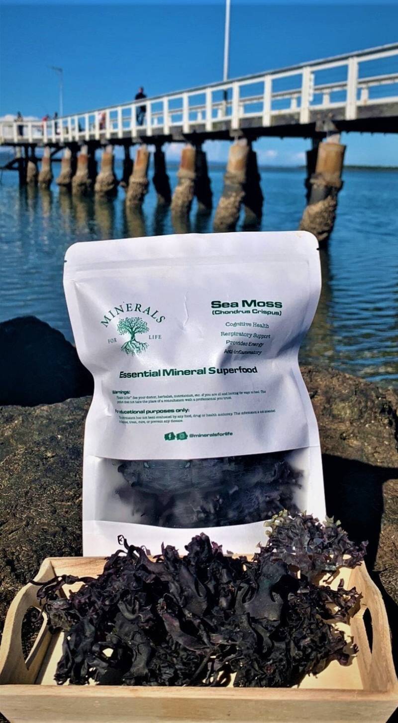 Chondrus Crispus Wildcrafted 100Gm von Etsy - MineralsforlifeAU