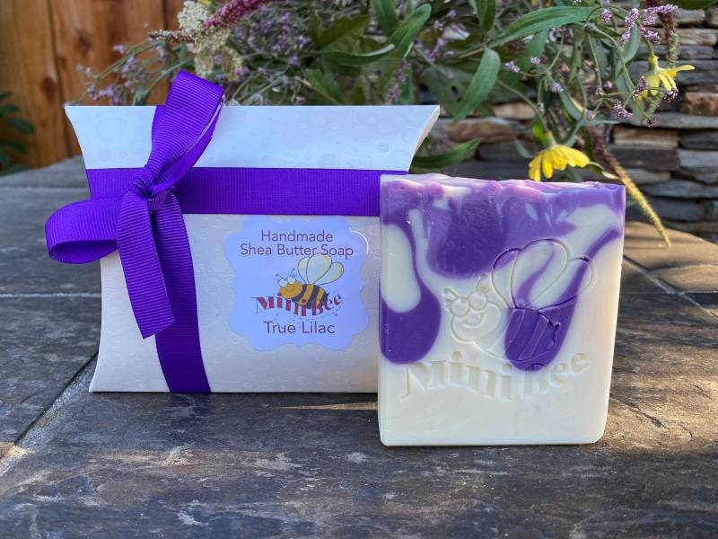 True Lilac Sheabutter Seife, Handgemachte Kaltprozess-Seife, Feuchtigkeitsspendend True Lilac Sheabutter Seife, Handgemachte Kaltprozess-Seife, Feuchtigkeitsspendend von Etsy - MiniBeeBeauty
