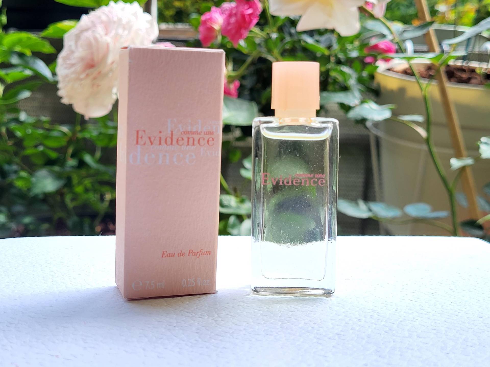 Evidence Yves Rocher Parfum Miniatur 7, 5 Ml | 0.25 Fl.oz Vintage von Etsy - MyStyleFashionCo