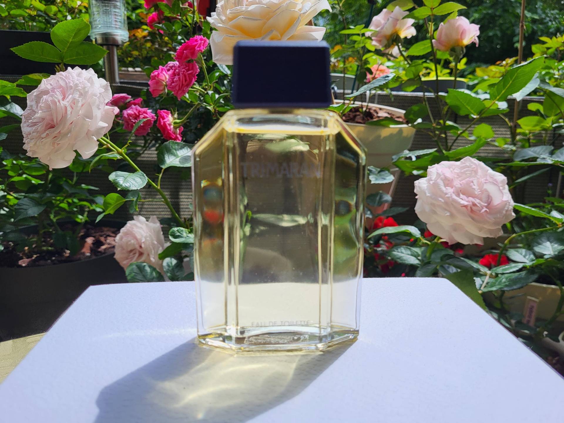 Trimaran Yves Rocher Eau De Toilette 100 Ml Flakon Splash Vintage von Etsy - MyStyleFashionCo