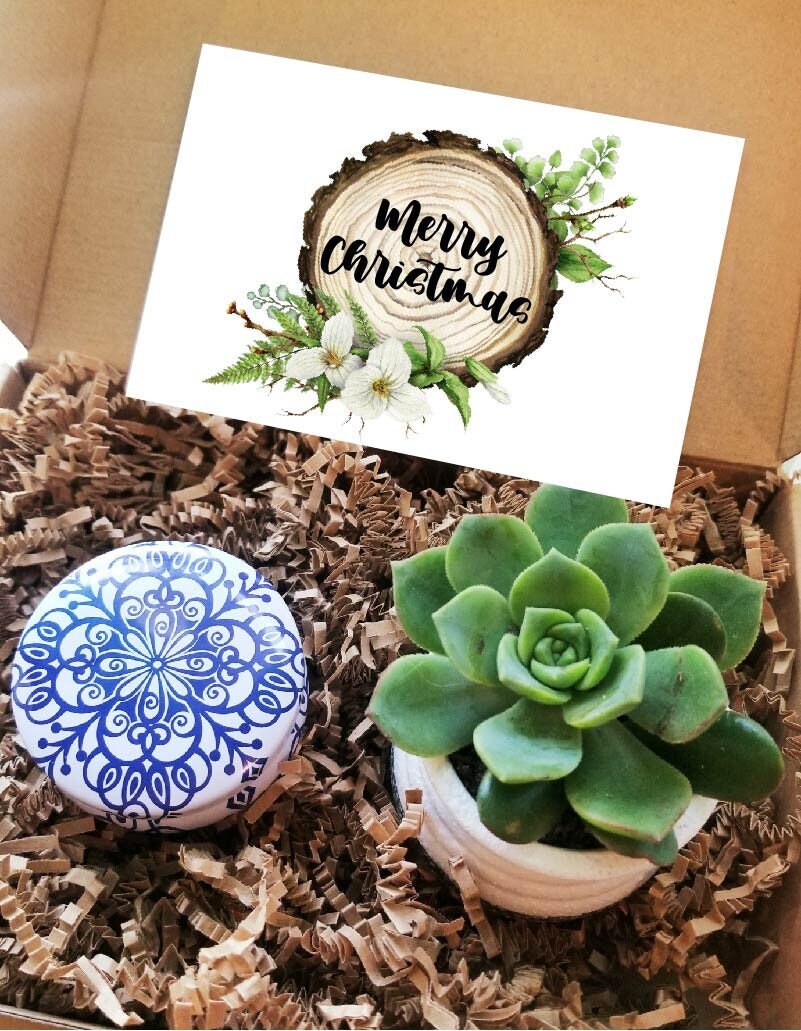 Weihnachtsgeschenkbox, Geschenk Versenden. Leben Sukkulenten, Urlaub Care Paket, Gefüllt Weihnachtsgeschenkset Für Sie, Geschenkkorb Weihnachtsgeschenkbox, Geschenk Versenden. Leben Sukkulenten, Urlaub Care Paket, Gefüllt Weihnachtsgeschenkset Für Sie, Geschenkkorb von Etsy - MyWhys