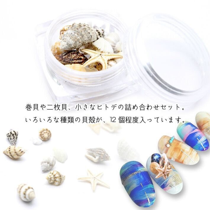 1Jar Nail Art Shell Trompete Conch Seestern Kleine Set Bj57 von Etsy - NailAngel2019