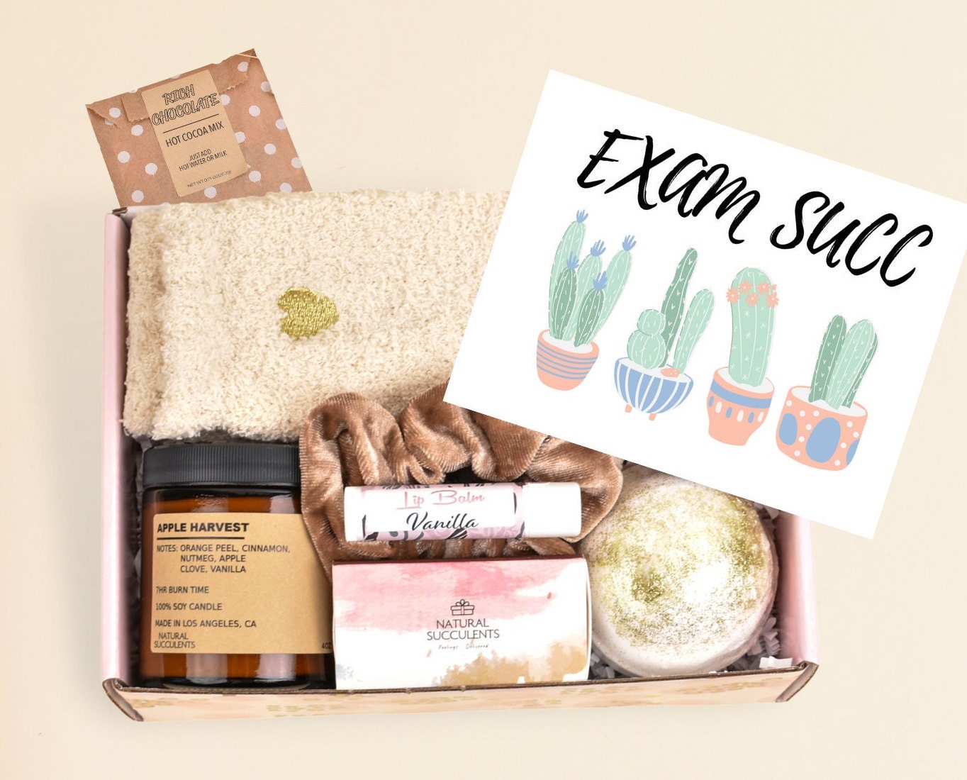 Final Exams Gift Box - Exam Care Paket Geschenk Für Studenten College Geschenkideen Good Luck On Exams Season Finals Midterms | xad8 von Etsy - NaturalSucculents
