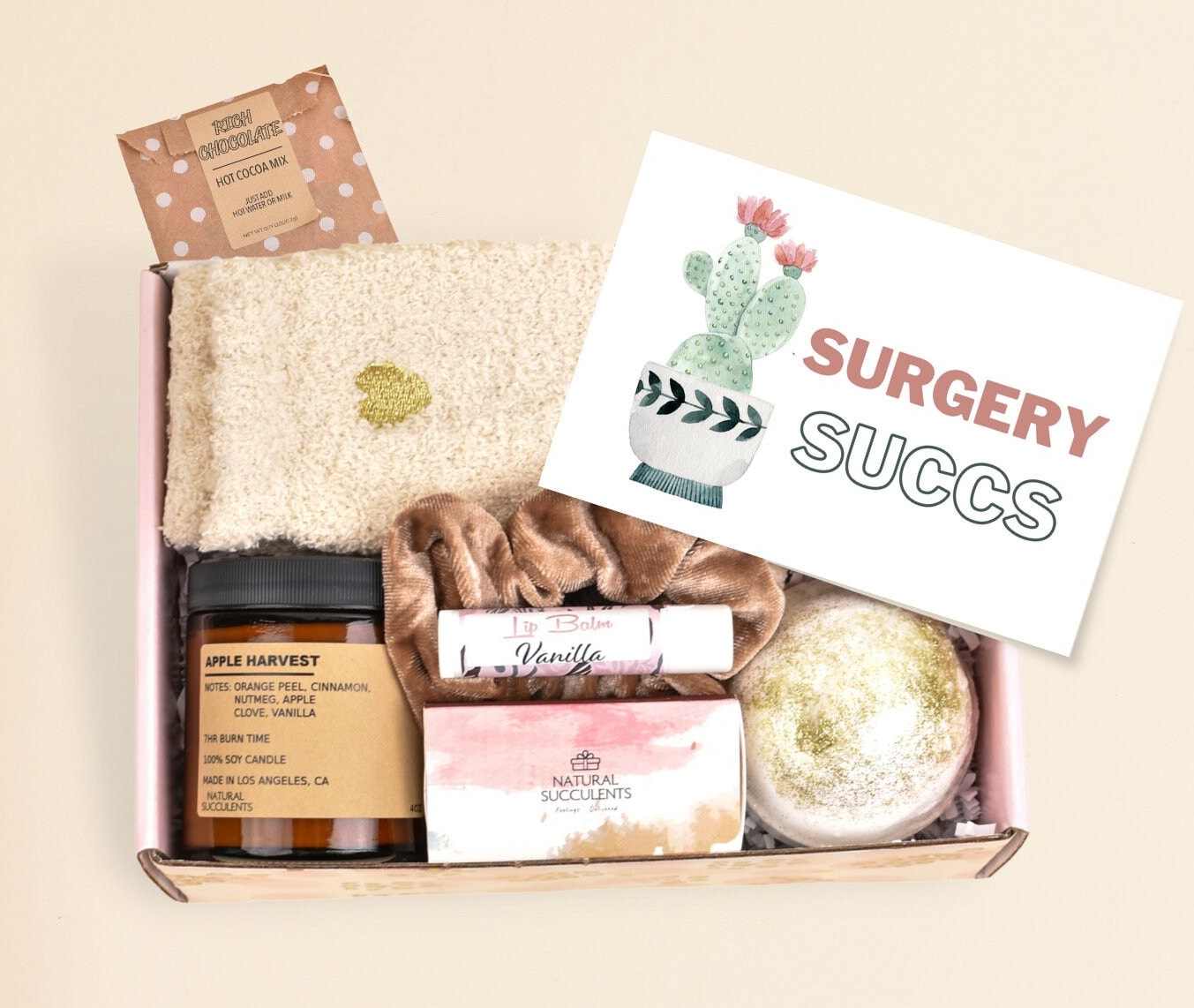 Natürliche Sukkulenten Surgery Geschenkbox, Succs Get Well Care Paket, Genesung Geschenk, Frauen | xac6 von Etsy - NaturalSucculents