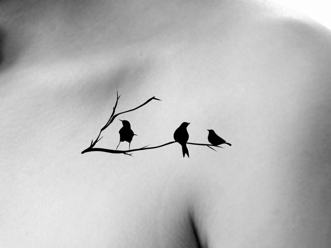 Vögel Auf Ast Temporäres Tattoo von Etsy - NewYouTattoo