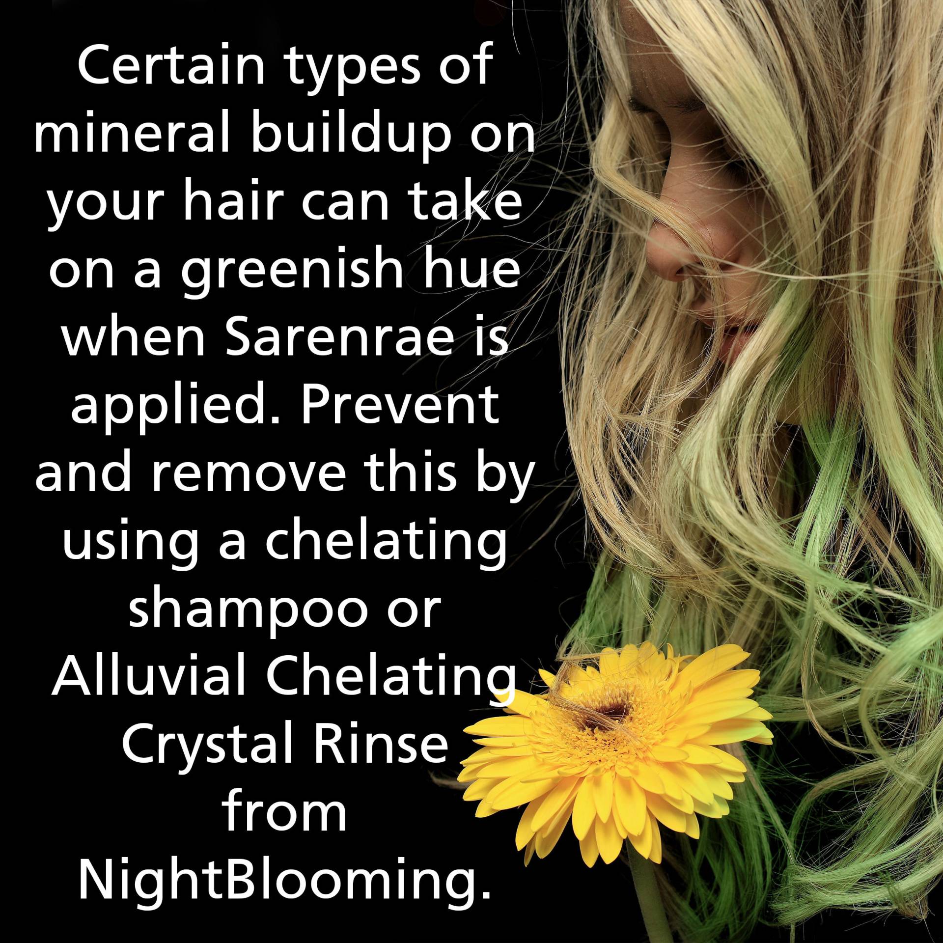 Sarenrae Blonde Haarfarbe Und Natürliche Farbe Ohne Henna 100 G Sarenrae Blonde Haarfarbe Und Natürliche Farbe Ohne Henna 100 G von Etsy - NightBlooming