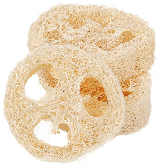 Luffascheibe Luffa Luffascheibe Luffa von Etsy - Nixeshop