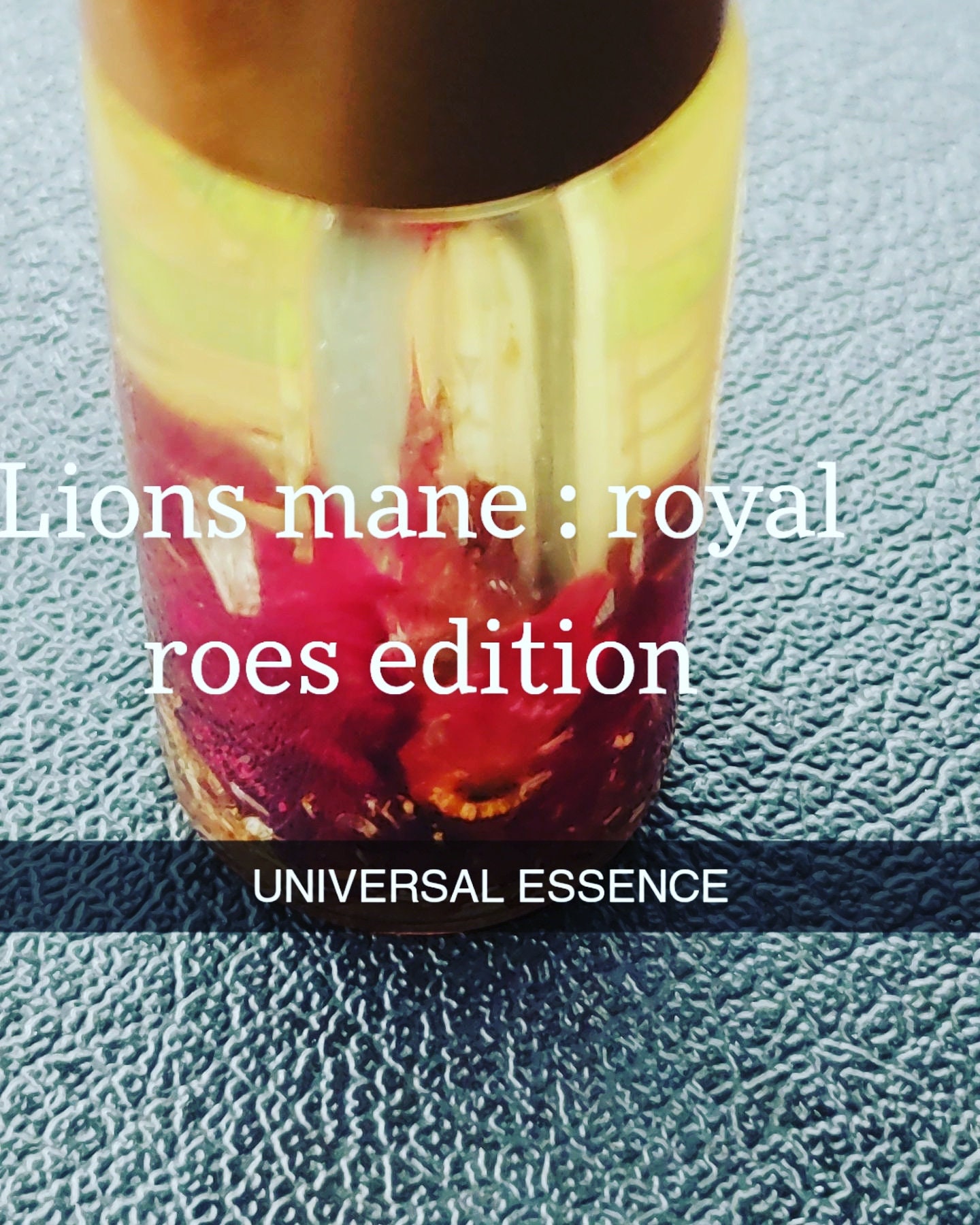 Löwenmähne Royal Rose Löwenmähne Royal Rose von Etsy - Normalmind