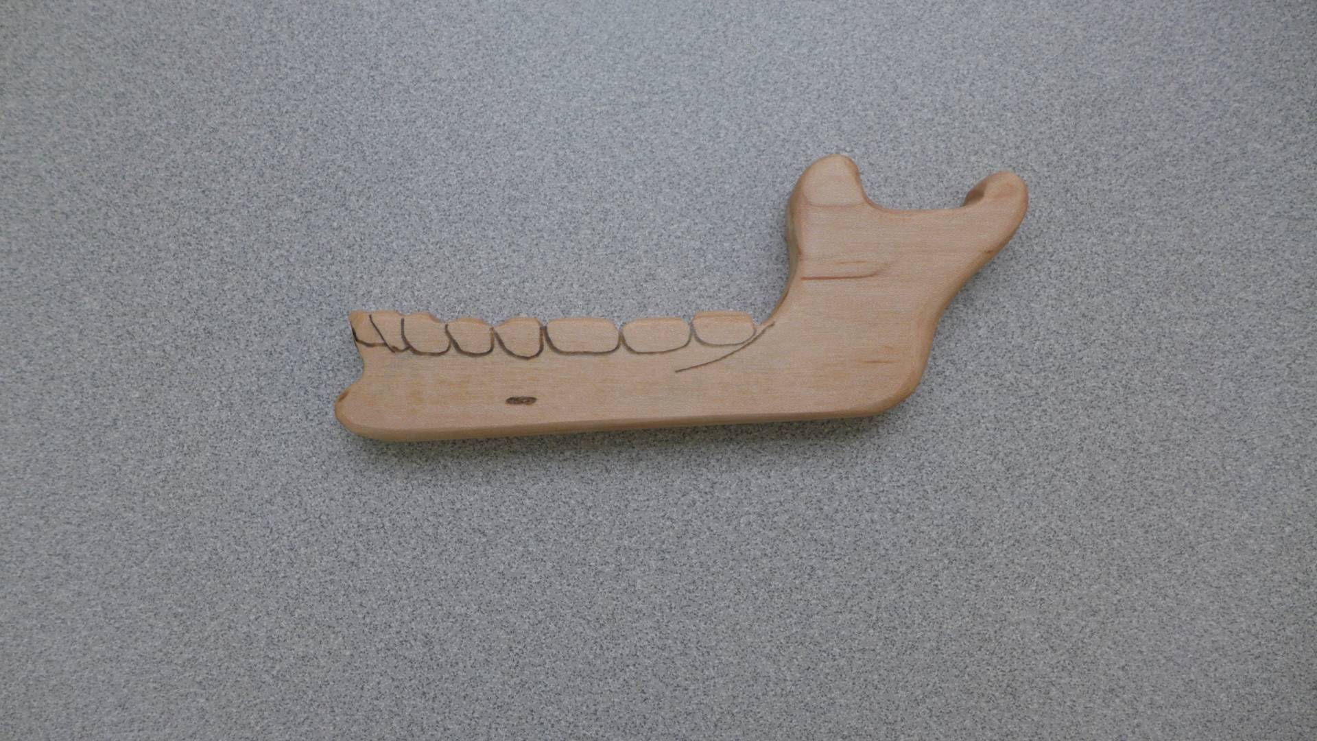 Beißring, Kieferorthopäde, Anthropologen Baby, Baby Grufti von Etsy - OldHatToys