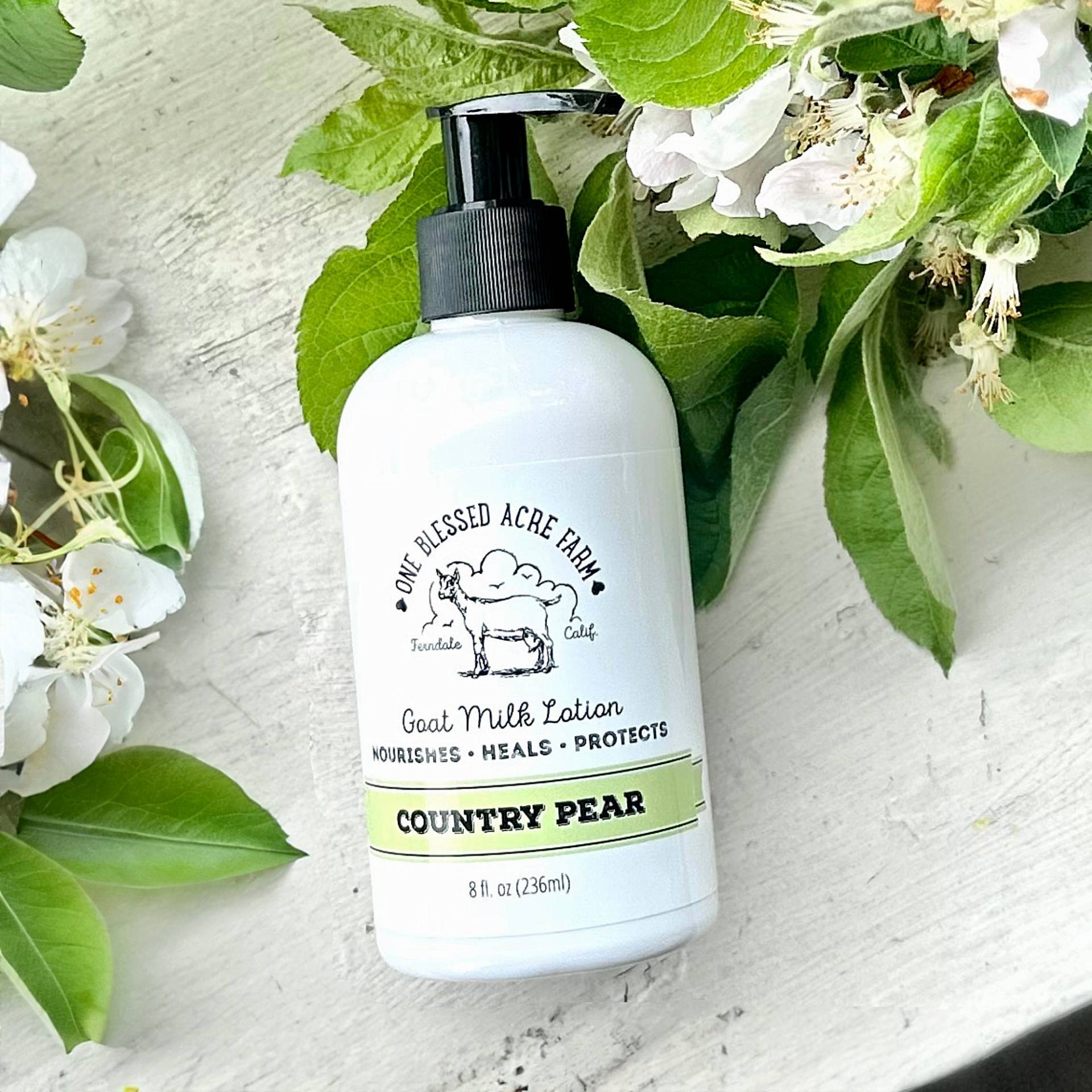 Birne Ziegenmilch Lotion Körperlotion Geschenkset Baby Shower Seife Set Umweltfreundliche Handwerker Schonend Für Kinder Geschenk Frauen von Etsy - OneBlessedAcre