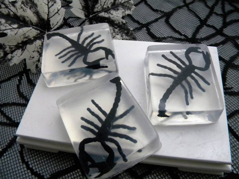 Skorpion Seife/Gastgeschenke Halloween von Etsy - OoohLaLaTheSoapBar