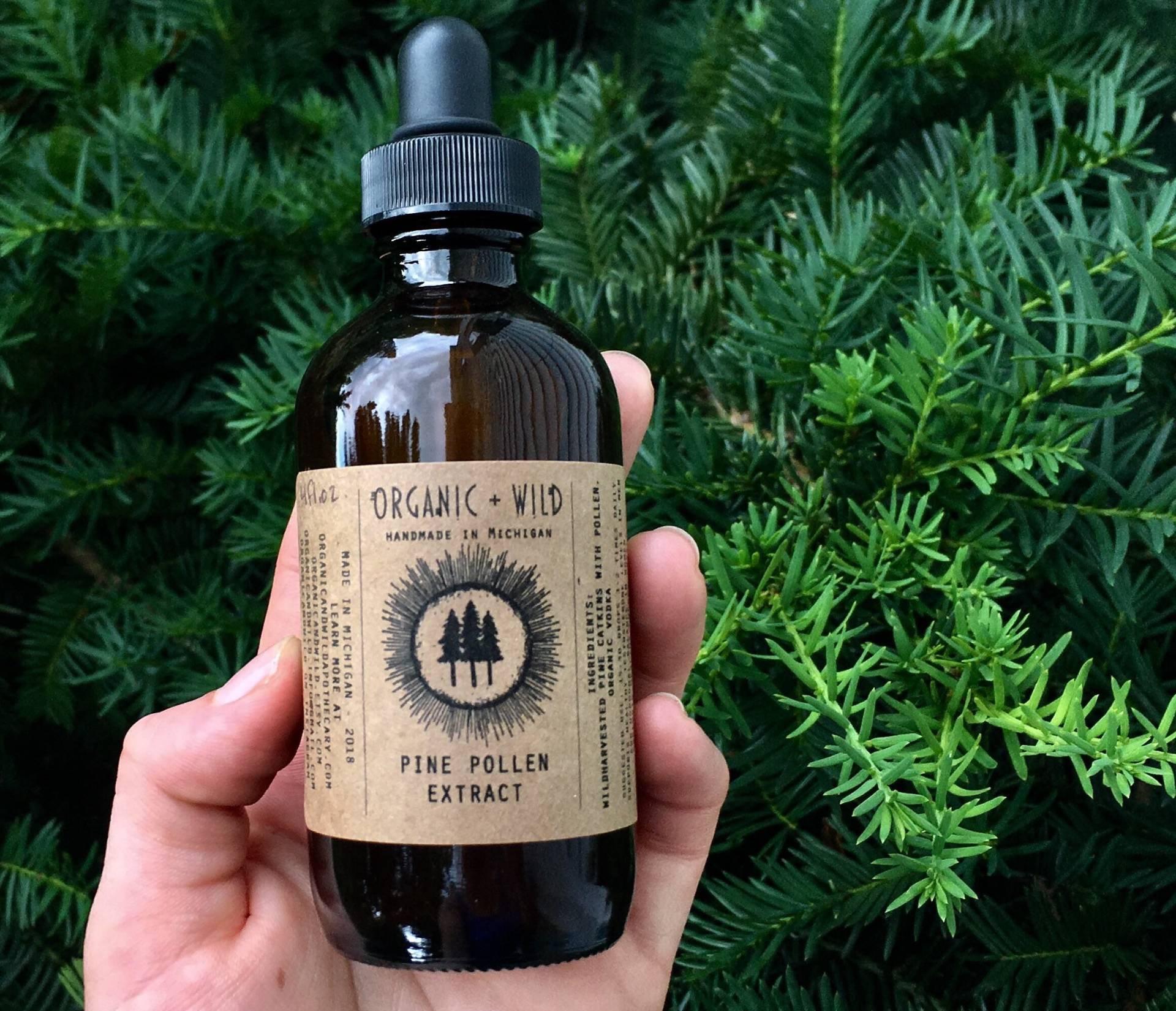 Vorbestellung Xl Pinienpollen Tinktur/Extrakt - Biologisch von Etsy - OrganicandWild