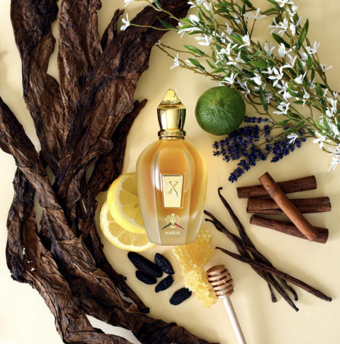 xerjoff Naxos 100Ml xerjoff Naxos 100Ml von Etsy - Parfumdreamsde