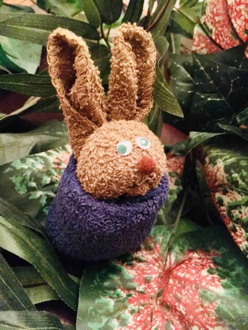 Spa-Schwänze Geschenk-Set Peter Rabbit, Inspiriert Origami Waschlappen von Etsy - PennyCandyLLC