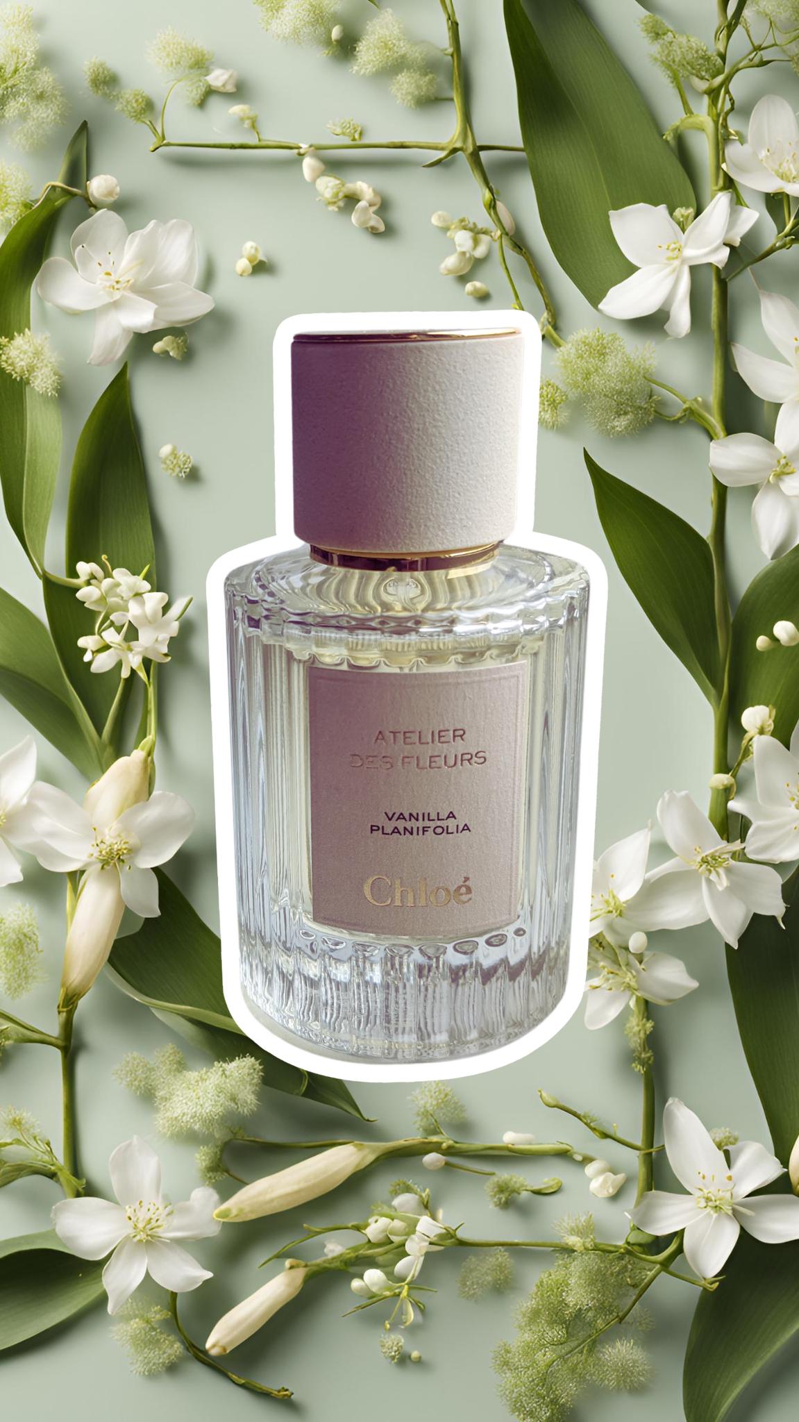 Vanilla Planifolia Von Chloé | 3Ml, 5Ml, 10Ml von Etsy - PerfumePreviews