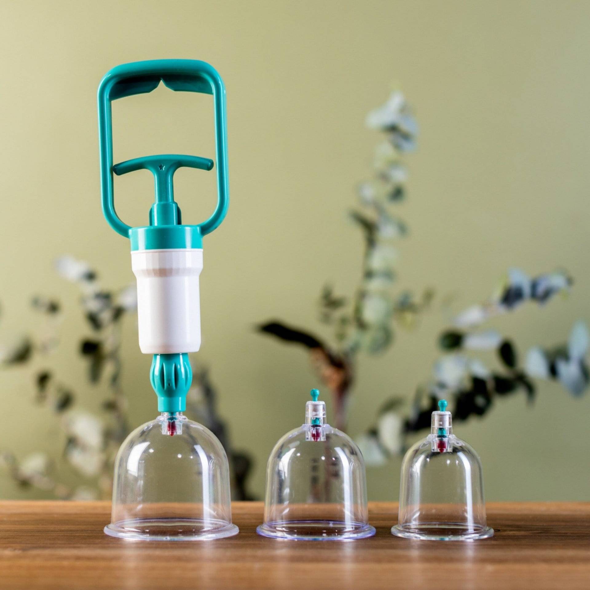 100x Schröpfgläser + 1x Pumpe, Hacamat Kupası Seti, Hijama Massage Schröpfen, Cupping Cups, Schröpfglas 100x Schröpfgläser + 1x Pumpe, Hacamat Kupası Seti, Hijama Massage Schröpfen, Cupping Cups, Schröpfglas von Etsy - PradoDE