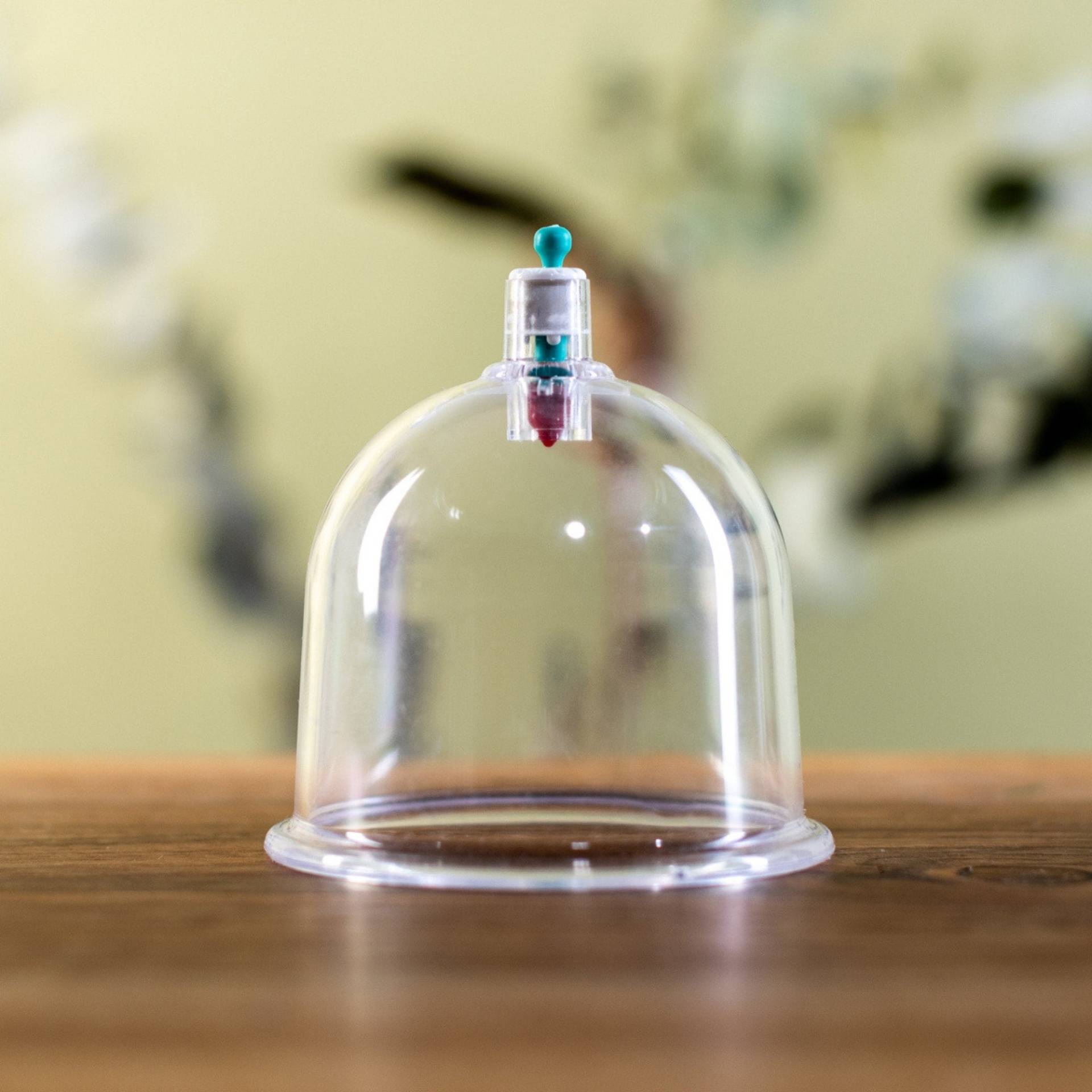 50 Schröpfgläser, Hacamat Kupası, Hijama Massage Schröpfen, Cupping Cups, Schröpfglas 50 Schröpfgläser, Hacamat Kupası, Hijama Massage Schröpfen, Cupping Cups, Schröpfglas von Etsy - PradoDE