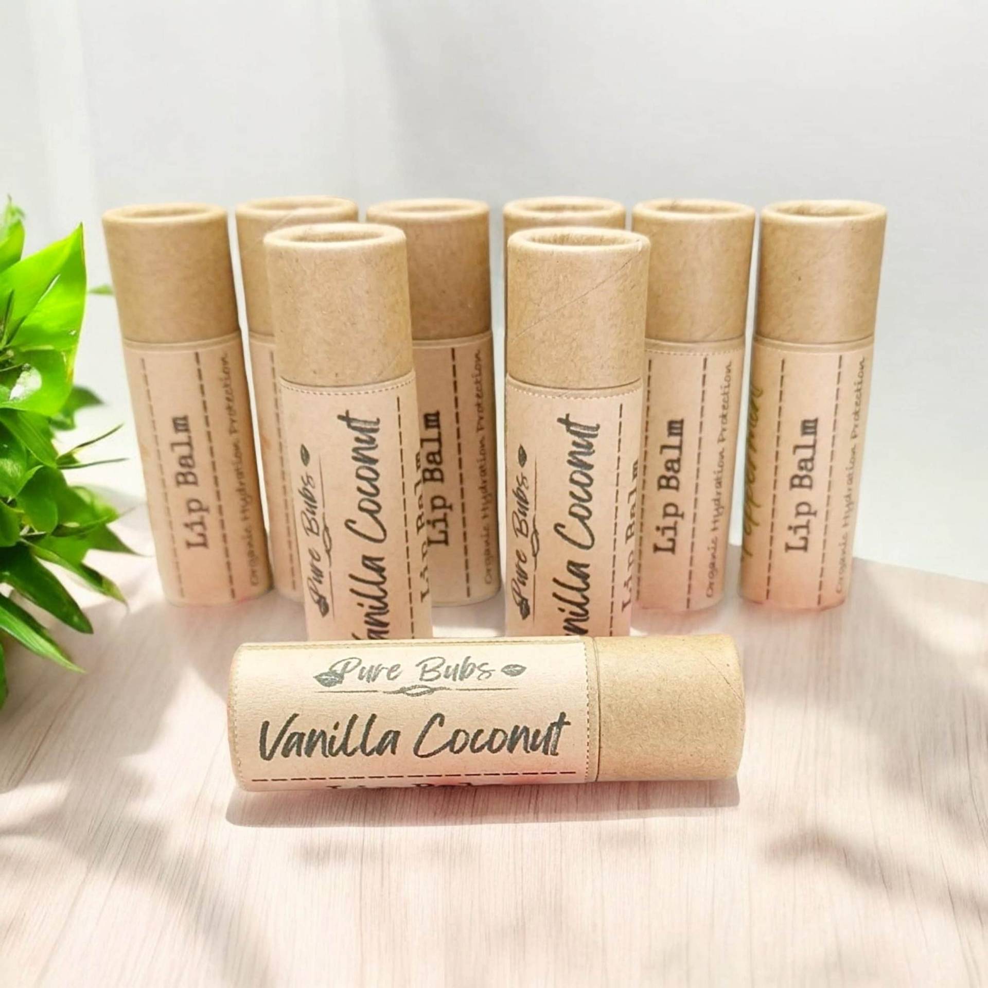 Natürlicher Lippenbalsam Mit Vanille-Kokosnuss, Bio-Self Care Kakaobutter, Veganer Natürlicher Lippenbalsam Mit Vanille-Kokosnuss, Bio-Self Care Kakaobutter, Veganer von Etsy - PurebubsCreations