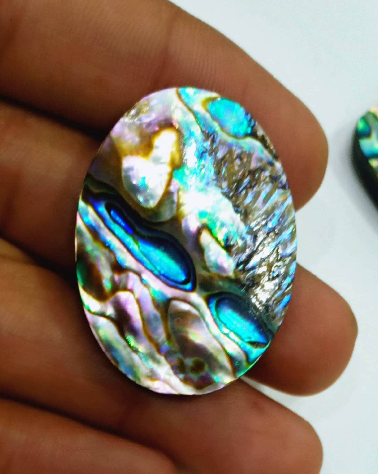 Abalone-Shell. Voller Mix-Blitz. Form Ovel Siz 32x25mm.gewicht 50, 5 Karat. Natürliche Fullshine Abalone Shell Itam Abalone-Shell. Voller Mix-Blitz. Form Ovel Siz 32x25mm.gewicht 50, 5 Karat. Natürliche Fullshine Abalone Shell Itam von Etsy - RoyalgemsGoods