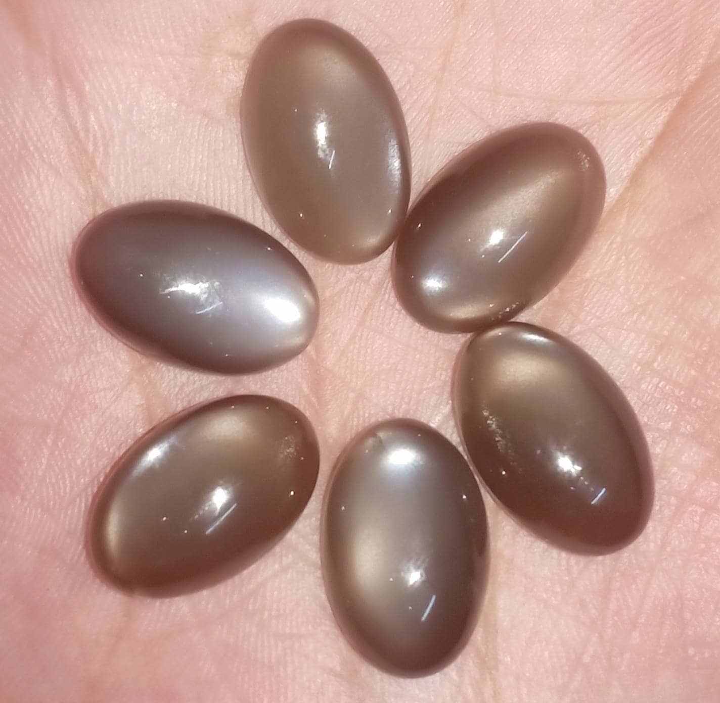 Schwarzer Mondstein 6 Pic Lot.siz11x17mmgewicht 45.70 Carat.ovel Form Schwarzer Mondstein 6 Pic Lot.siz11x17mmgewicht 45.70 Carat.ovel Form von Etsy - RoyalgemsGoods