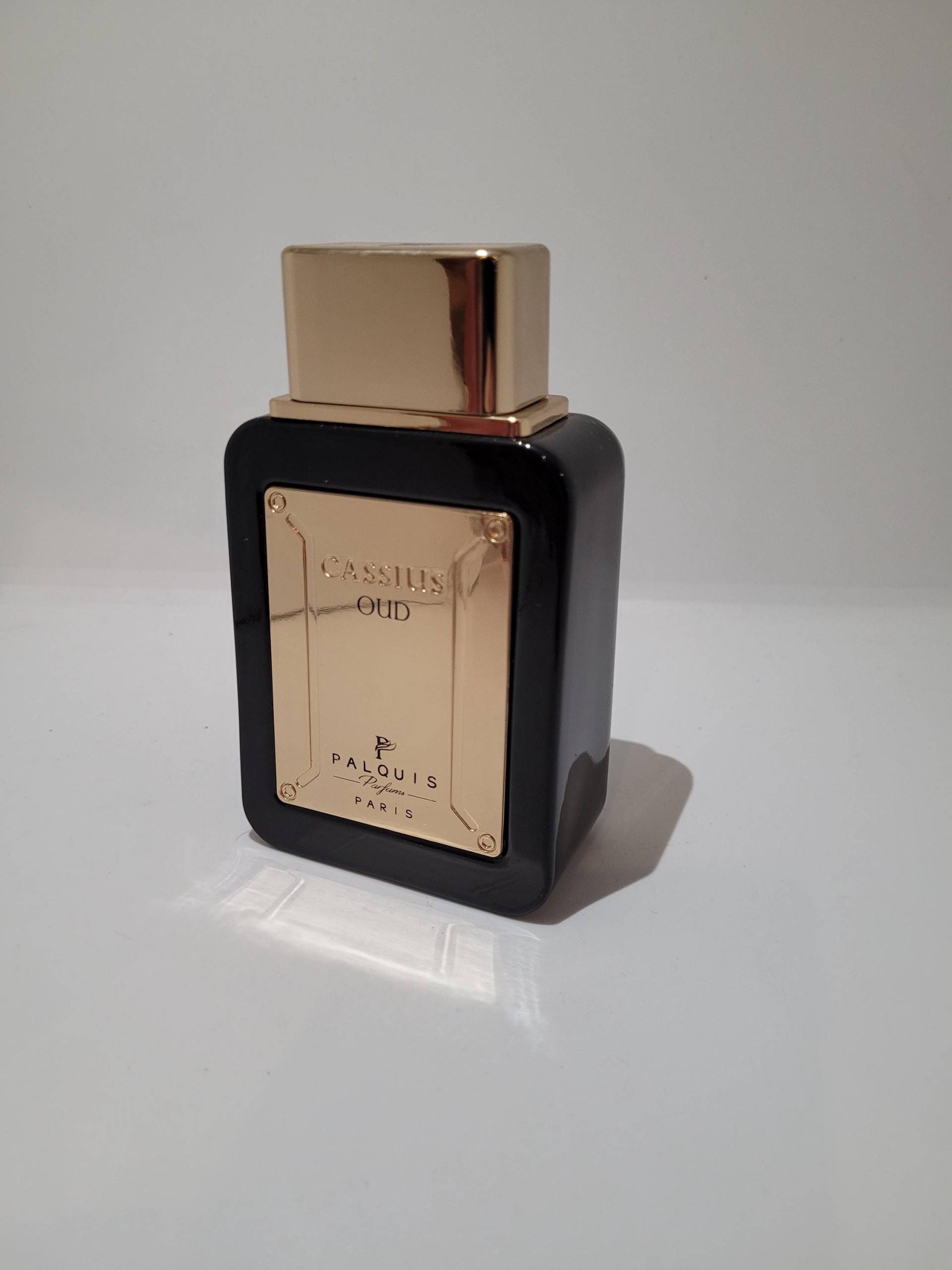 Jeanne Arthes Palquis Cassius Oud Eau De Parfum For Men 100Ml B-Ware Jeanne Arthes Palquis Cassius Oud Eau De Parfum For Men 100Ml B-Ware von Etsy - Saidoo00