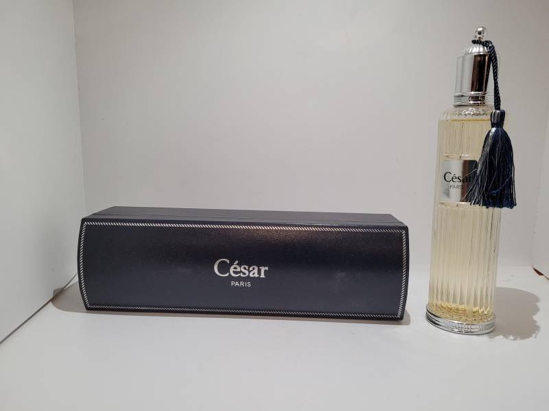 Cesar Paris Eau De Parfum For Men 100Ml Cesar Paris Eau De Parfum For Men 100Ml von Etsy - Saidoooo