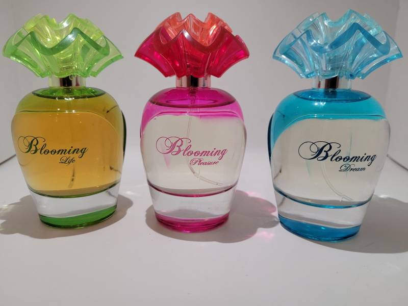 Versailles Beauté Blooming Life/Pleasure Dream Eau De Parfum For Women 3x 100Ml Versailles Beauté Blooming Life/Pleasure Dream Eau De Parfum For Women 3x 100Ml von Etsy - Saidoooo