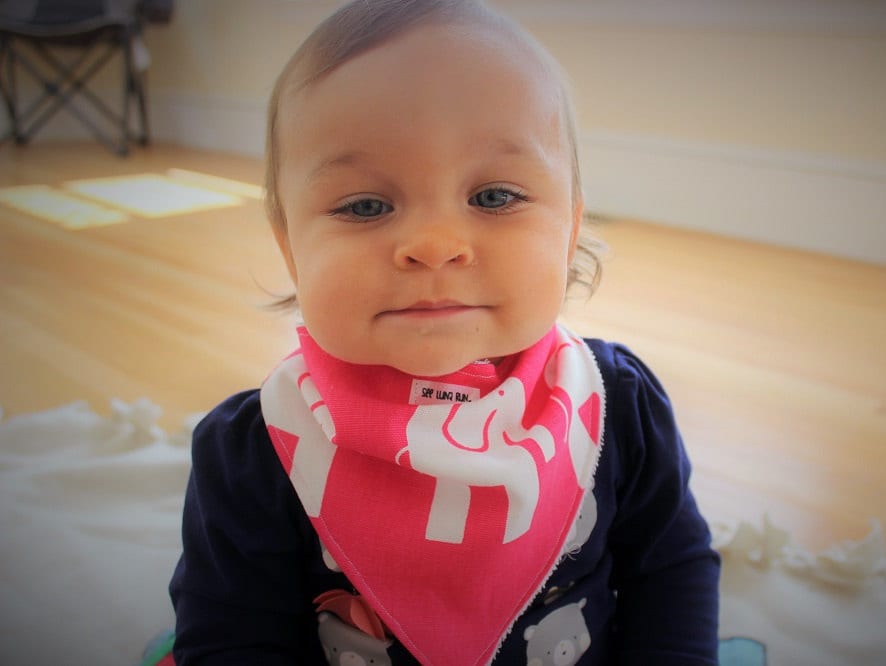 Die Itsy-Bitsy-Kollektion | 100% Baumwolle Passende Babylätzchen Und Haustier-Bandanas von Etsy - SeeLunaRun
