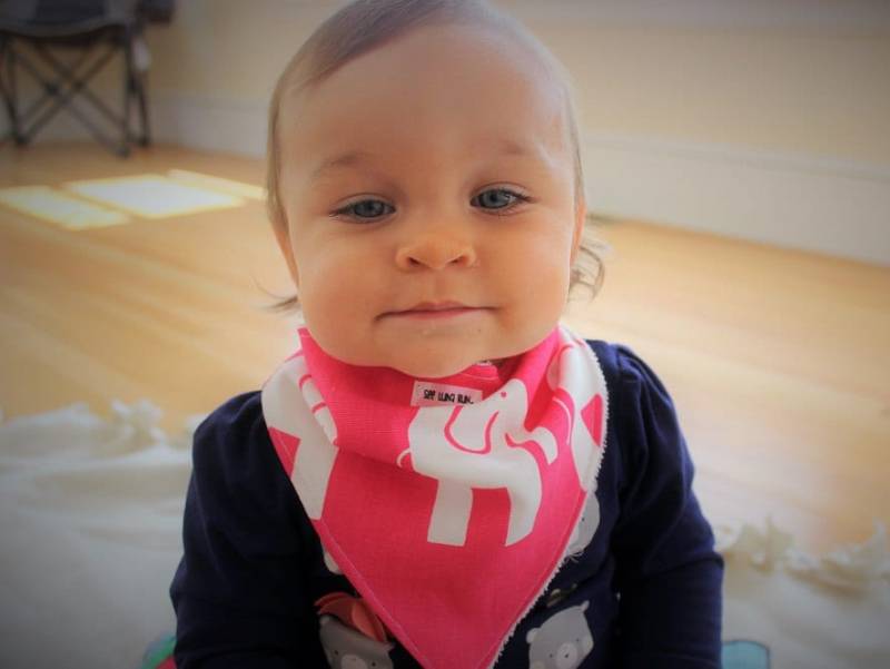 Die Itsy-Bitsy-Kollektion | 100% Baumwolle Passende Babylätzchen Und Haustier-Bandanas von Etsy - SeeLunaRun