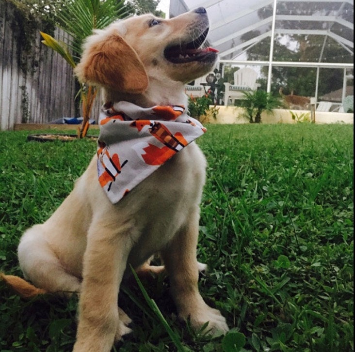 Die Oh So Foxy Kollektion | 100% Premium Baumwolle Bambus Passende Babylätzchen Und Haustierfliegen Die Oh So Foxy Kollektion | 100% Premium Baumwolle Bambus Passende Babylätzchen Und Haustierfliegen von Etsy - SeeLunaRun