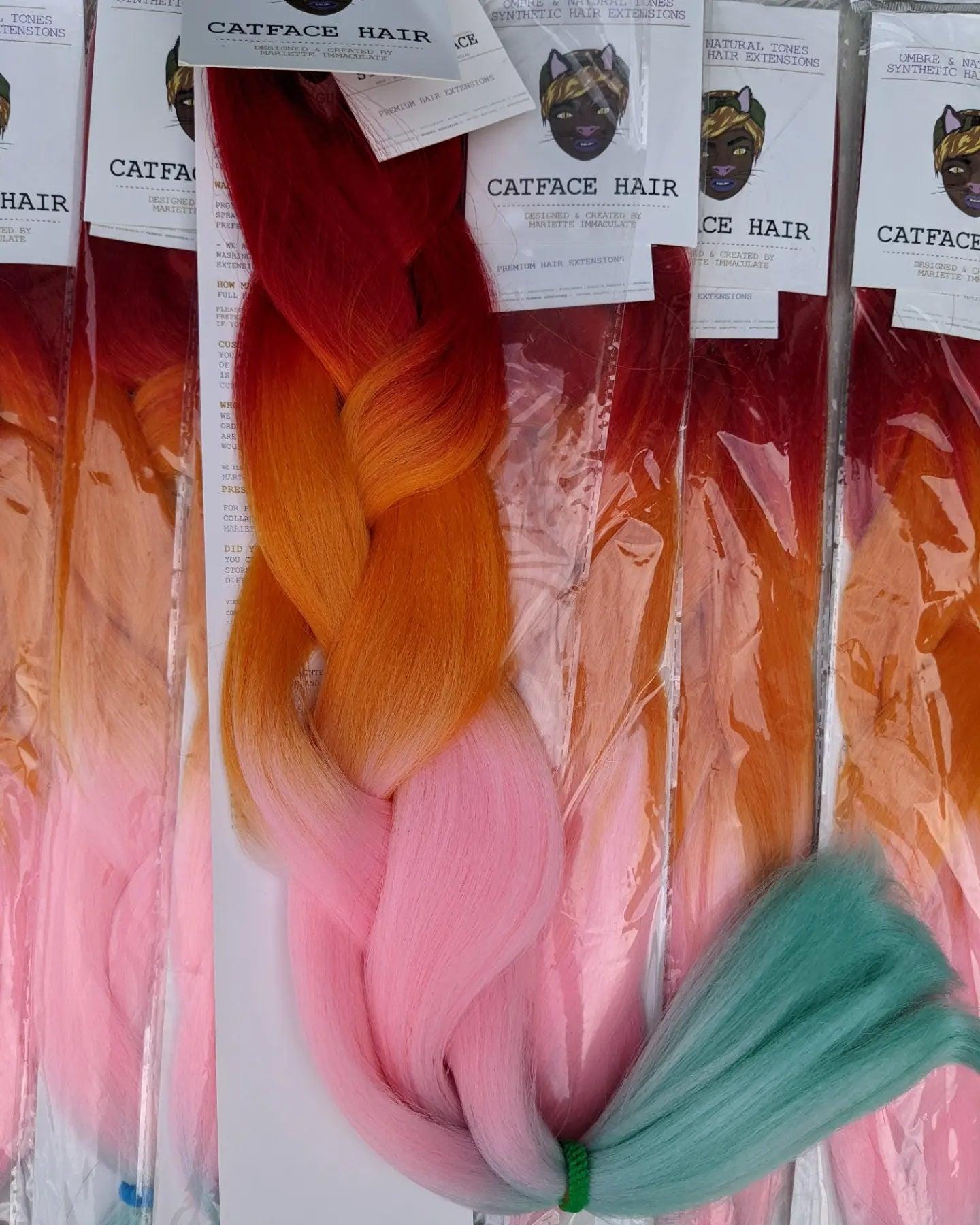 Catface Haar Coral Rainbow Ombre Jumbo Flechthaar Catface Haar Coral Rainbow Ombre Jumbo Flechthaar von Etsy - ShopCatface