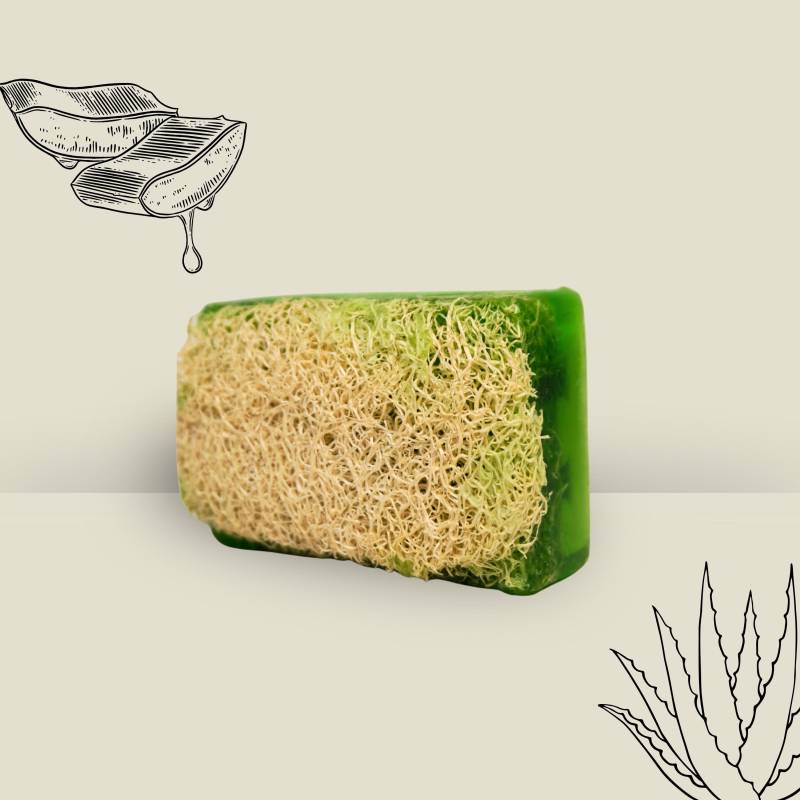 Loofah Aloe Vera - Feuchtigkeit & Pflege Mit Naturpeeling von Etsy - Sihaseifen