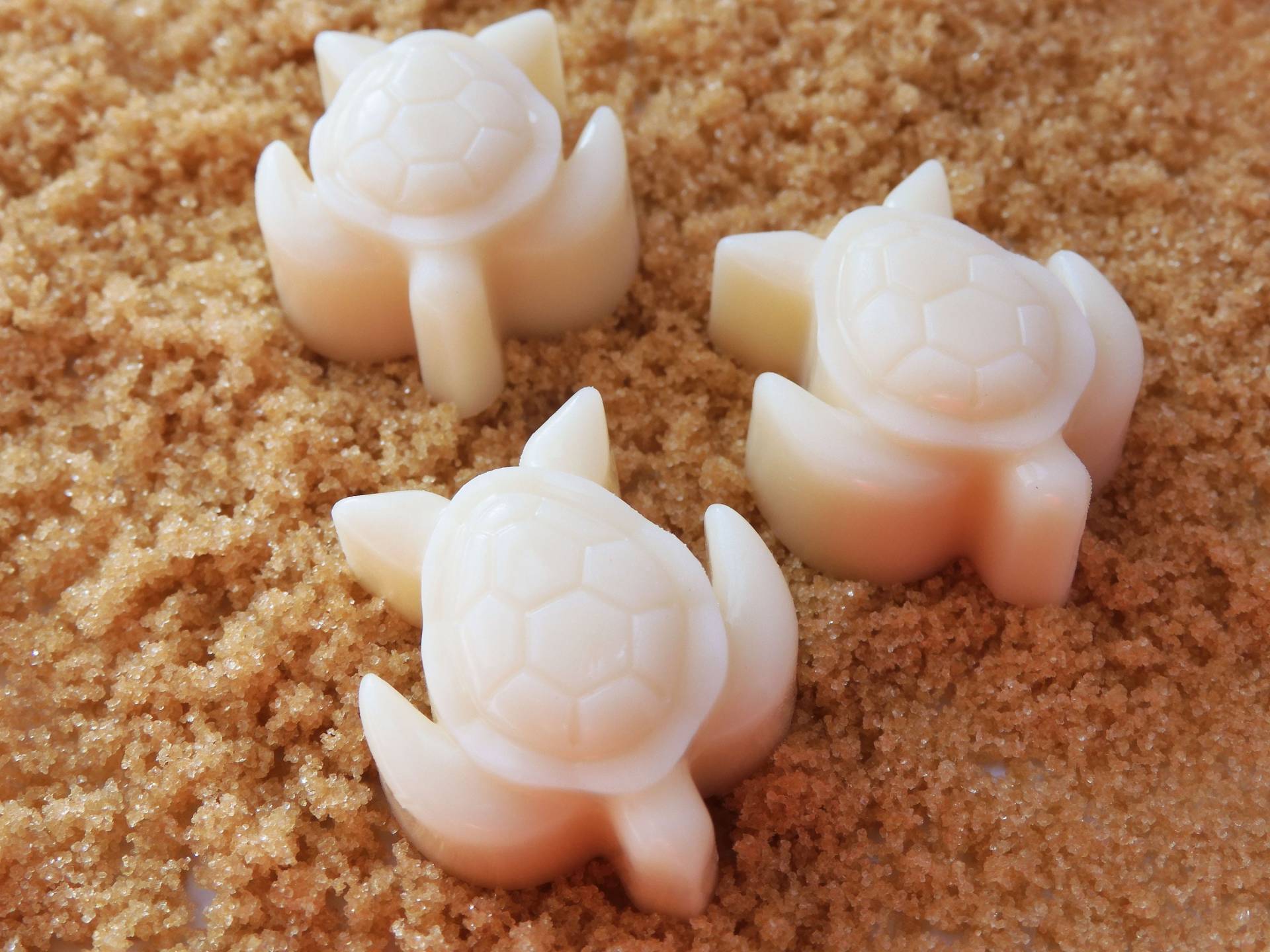 Strandlotion Bars | Turtle Lotion Bar Seestern Fisch Strandparty Geschenk Set Strand Geburtstag Geschenkbox Strandlotion Bars | Turtle Lotion Bar Seestern Fisch Strandparty Geschenk Set Strand Geburtstag Geschenkbox von Etsy - SimplyMadeNaturalCo