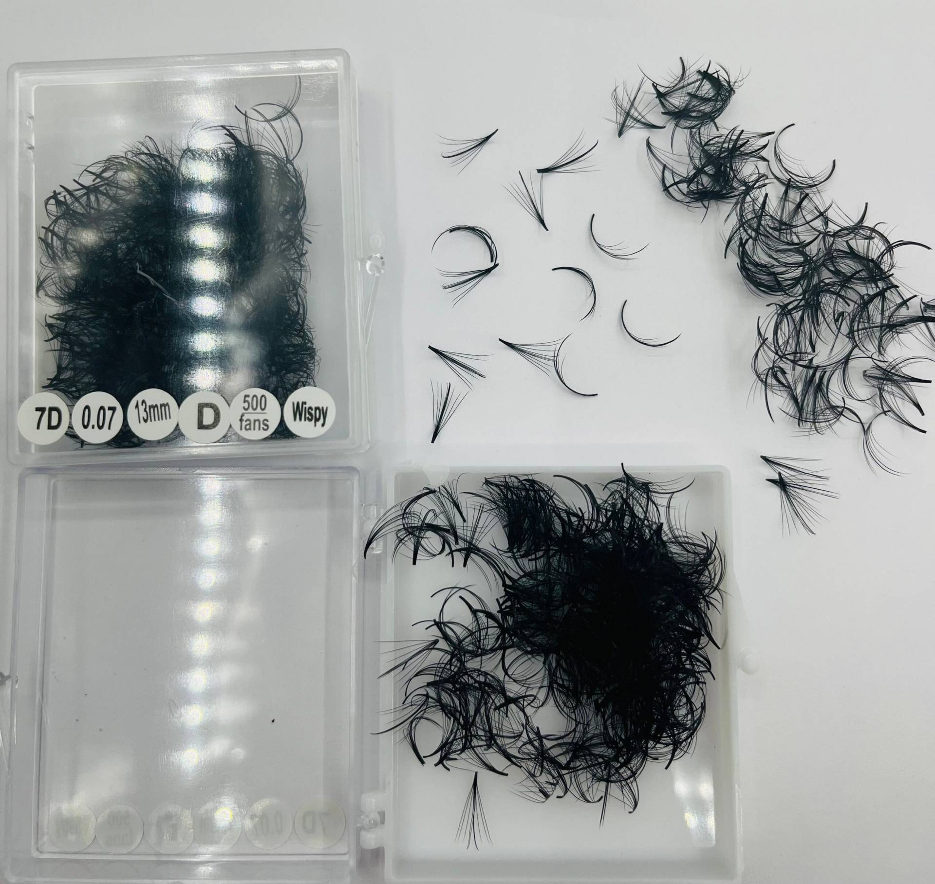 Wispy 5D - 7D Promade Fans 0.07 Curl C- D 500 Fächer/Box Wispy 5D - 7D Promade Fans 0.07 Curl C- D 500 Fächer/Box von Etsy - SkylashVN