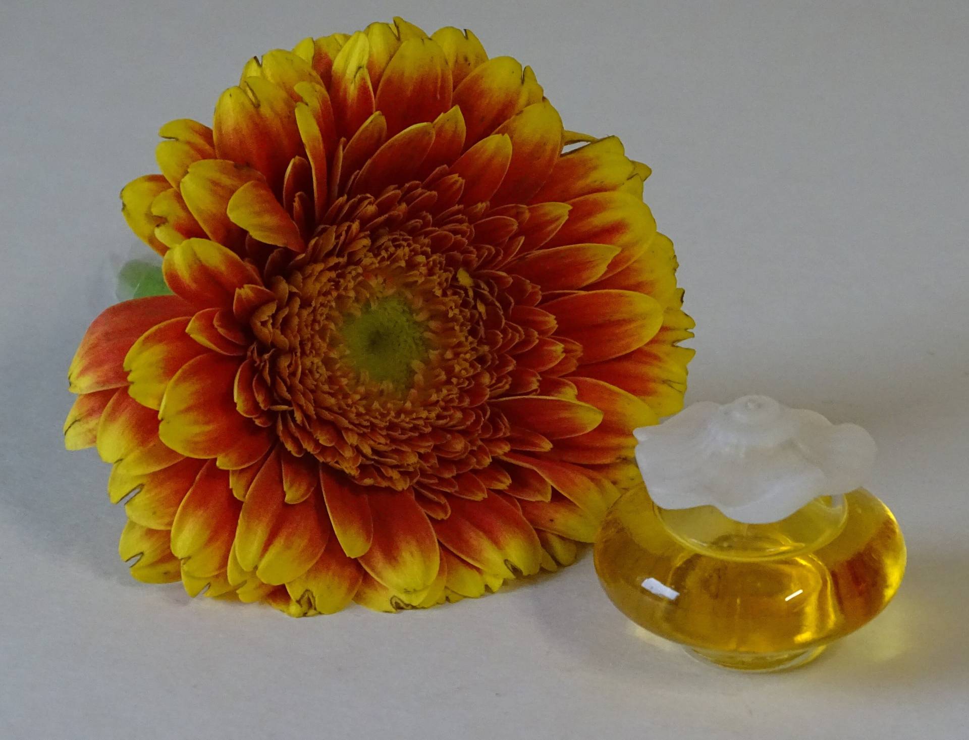 Vintage 1982 -Nina Ricci Fleur De Fleurs Parfum Toilette Pdt 6Ml Miniatur Parfüm Für Die Frau Vintage 1982 -Nina Ricci Fleur De Fleurs Parfum Toilette Pdt 6Ml Miniatur Parfüm Für Die Frau von Etsy - Sonne021VonSiegfried