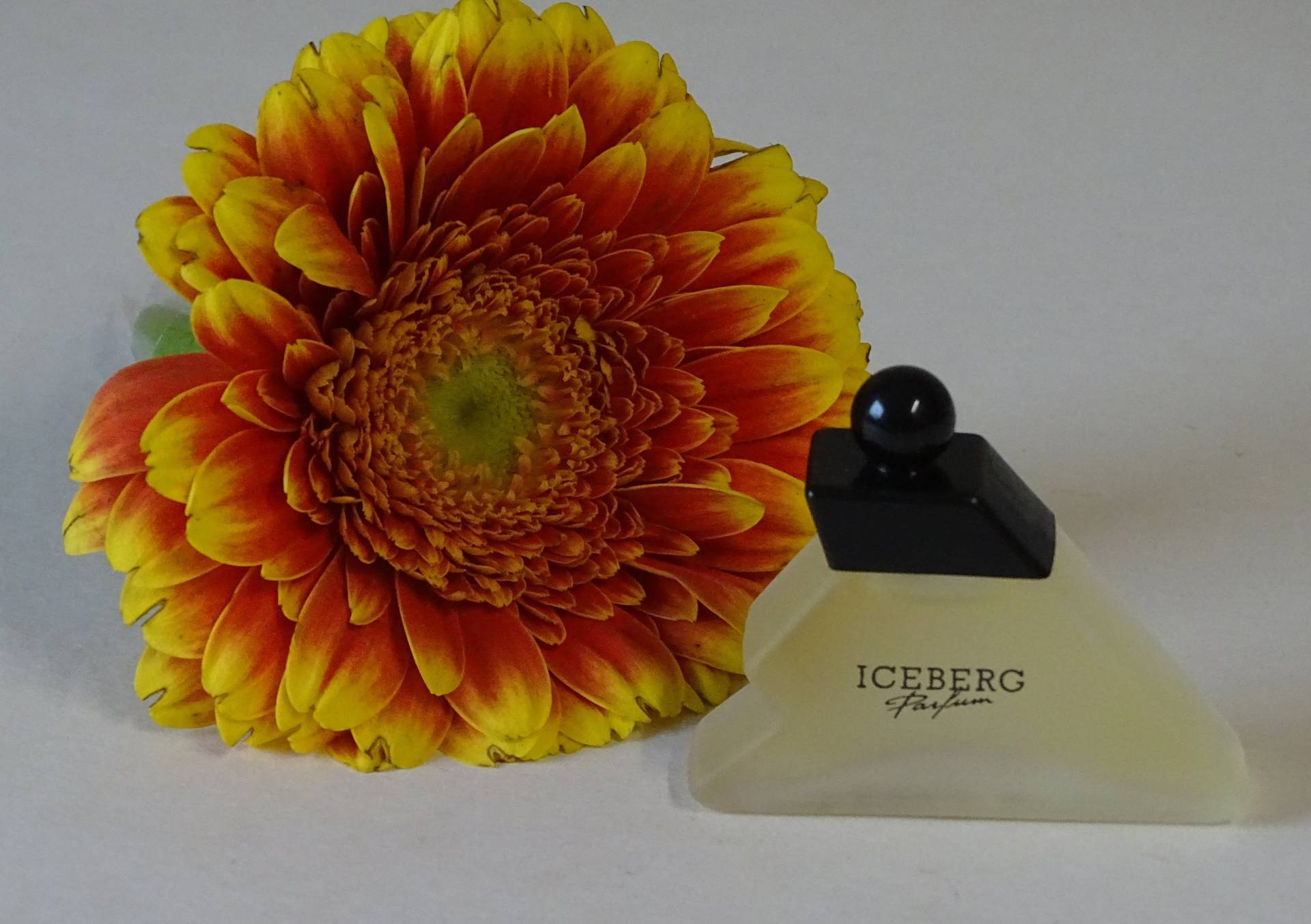 Vintage-Iceberg Parfum Eau De Toilette Edt 5Ml Miniatur Für Die Frau Von 1989 Vintage-Iceberg Parfum Eau De Toilette Edt 5Ml Miniatur Für Die Frau Von 1989 von Etsy - Sonne021VonSiegfried