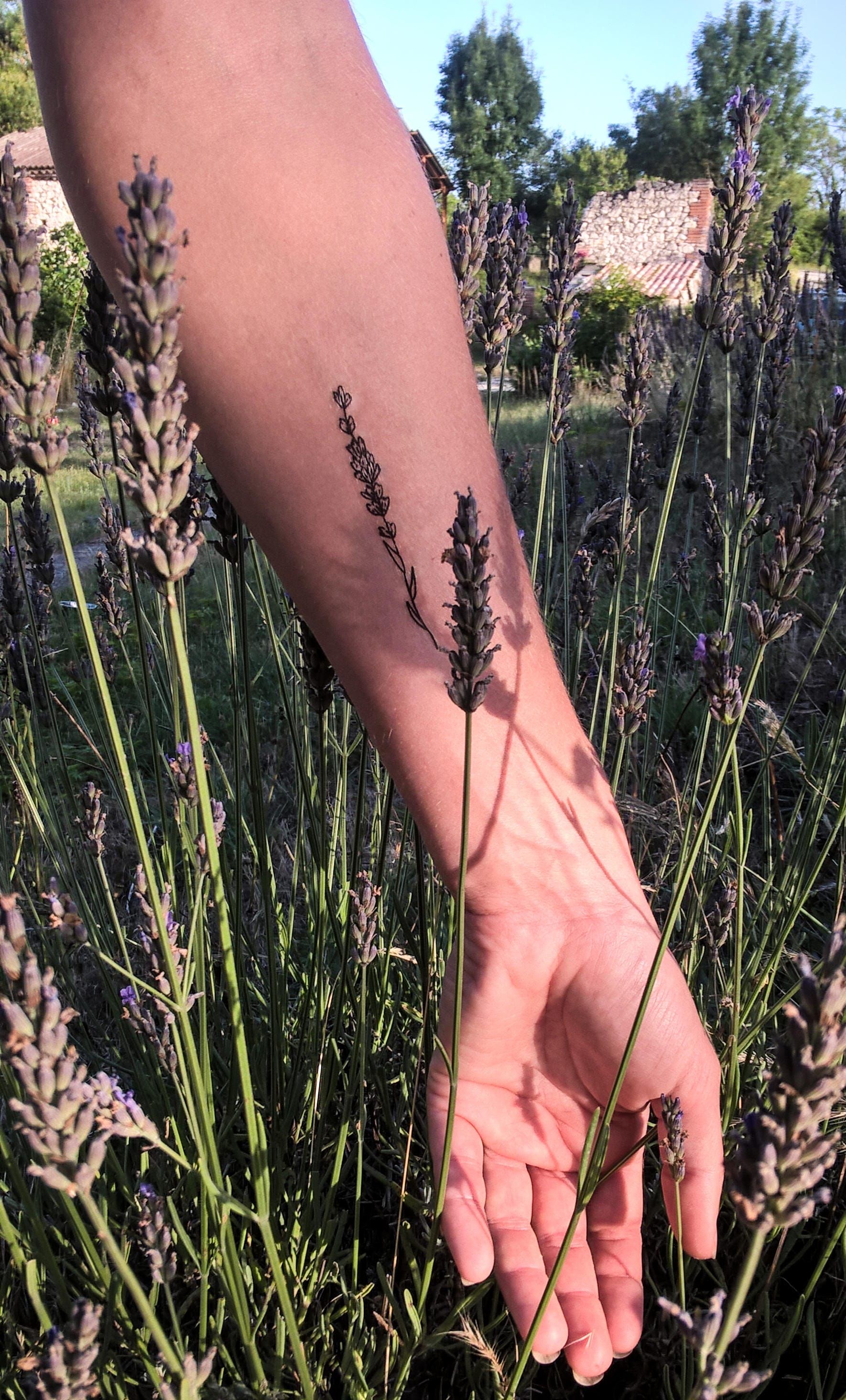 Temporäres Tattoo Lavendelzweig | Bogen Mit 3 Stück Temporäres Tattoo Lavendelzweig | Bogen Mit 3 Stück von Etsy - StudioRafaeleRohn