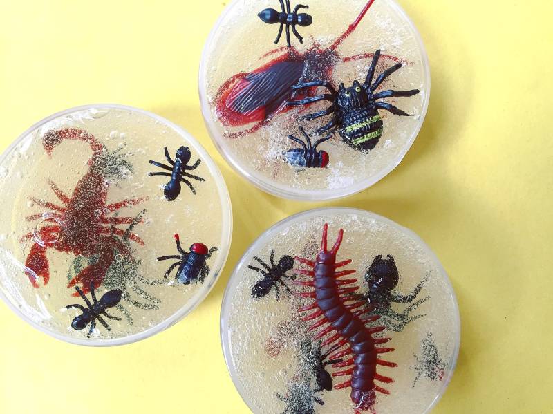 Gruselige Krabbelseife Halloween Kinder Body Wash Mit Künstlichen Käfern Gruselige Krabbelseife Halloween Kinder Body Wash Mit Künstlichen Käfern von Etsy - SugarShowerCo