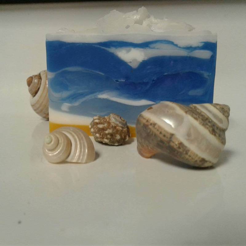 Sea Spray Soap Rechteckige Bar Dekorative Bad Land Haus Chic Herbst Boho Strand Bum von Etsy - SustainableSoapShop
