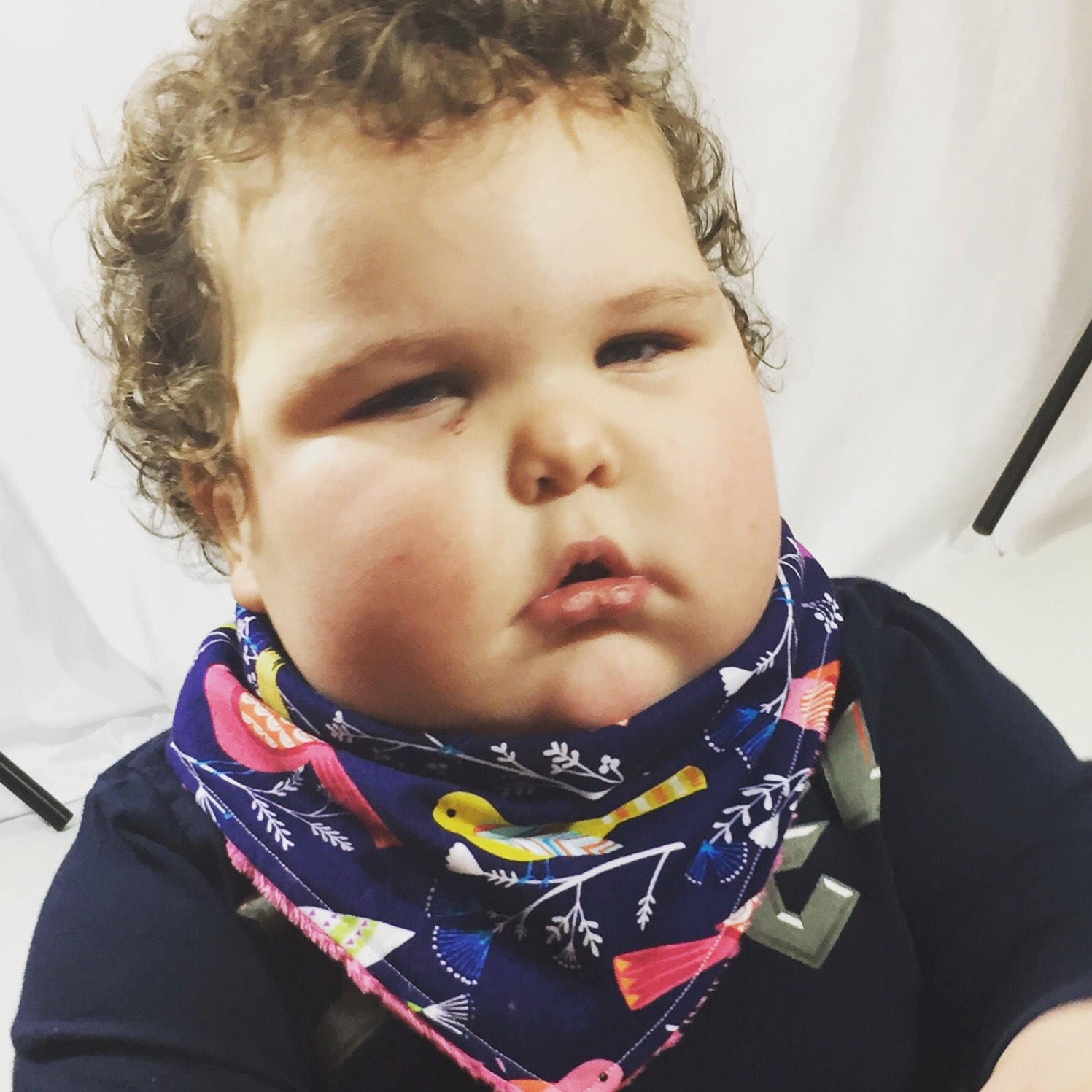 Unbekümmerte Vogel Bib - Große Latz Lätzchen Minky Kinderkrankheiten Bandana Halstuch von Etsy - SweetBabyJaneCo