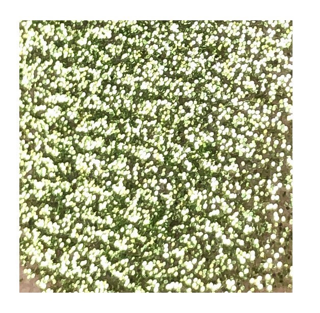 Tala Pigmente Glitter Frühling Grün 2Ml von Etsy - TalaPigments