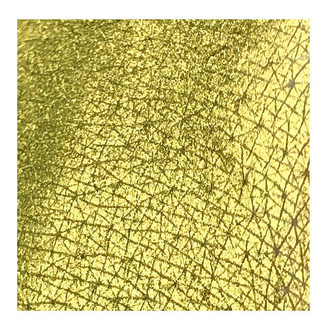 Tala Pigmente Lime Gr5 2Ml Tala Pigmente Lime Gr5 2Ml von Etsy - TalaPigments