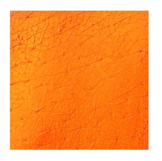Tala Pigmente Neon 5 Orange 2Ml Tala Pigmente Neon 5 Orange 2Ml von Etsy - TalaPigments