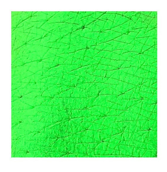 Tala Pigments Neon 4 Grün 2Ml Tala Pigments Neon 4 Grün 2Ml von Etsy - TalaPigments