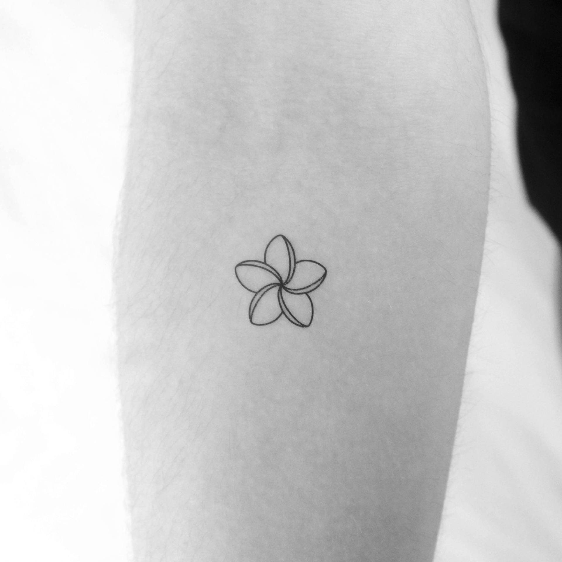 Frangipani Temporäres Tattoo | 3Er Set von Etsy - Tatteco
