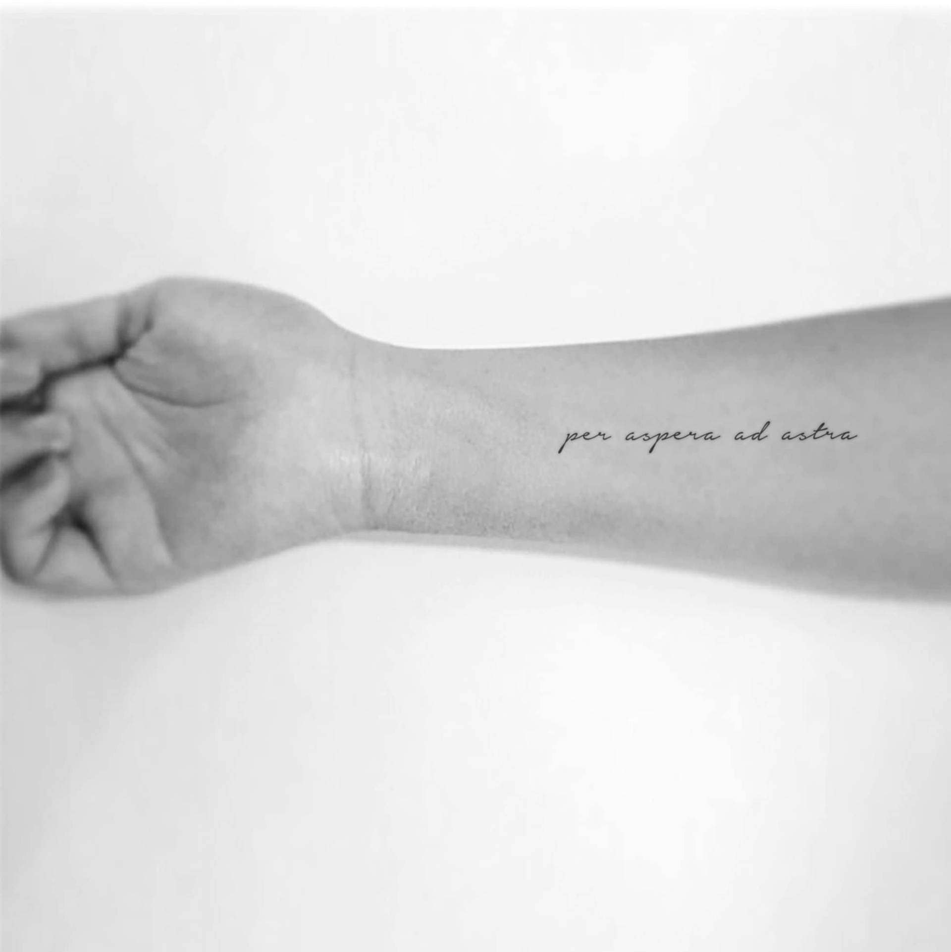 Per Aspera Ad Astra Temporäres Tattoo | 3Er Set Per Aspera Ad Astra Temporäres Tattoo | 3Er Set von Etsy - Tatteco