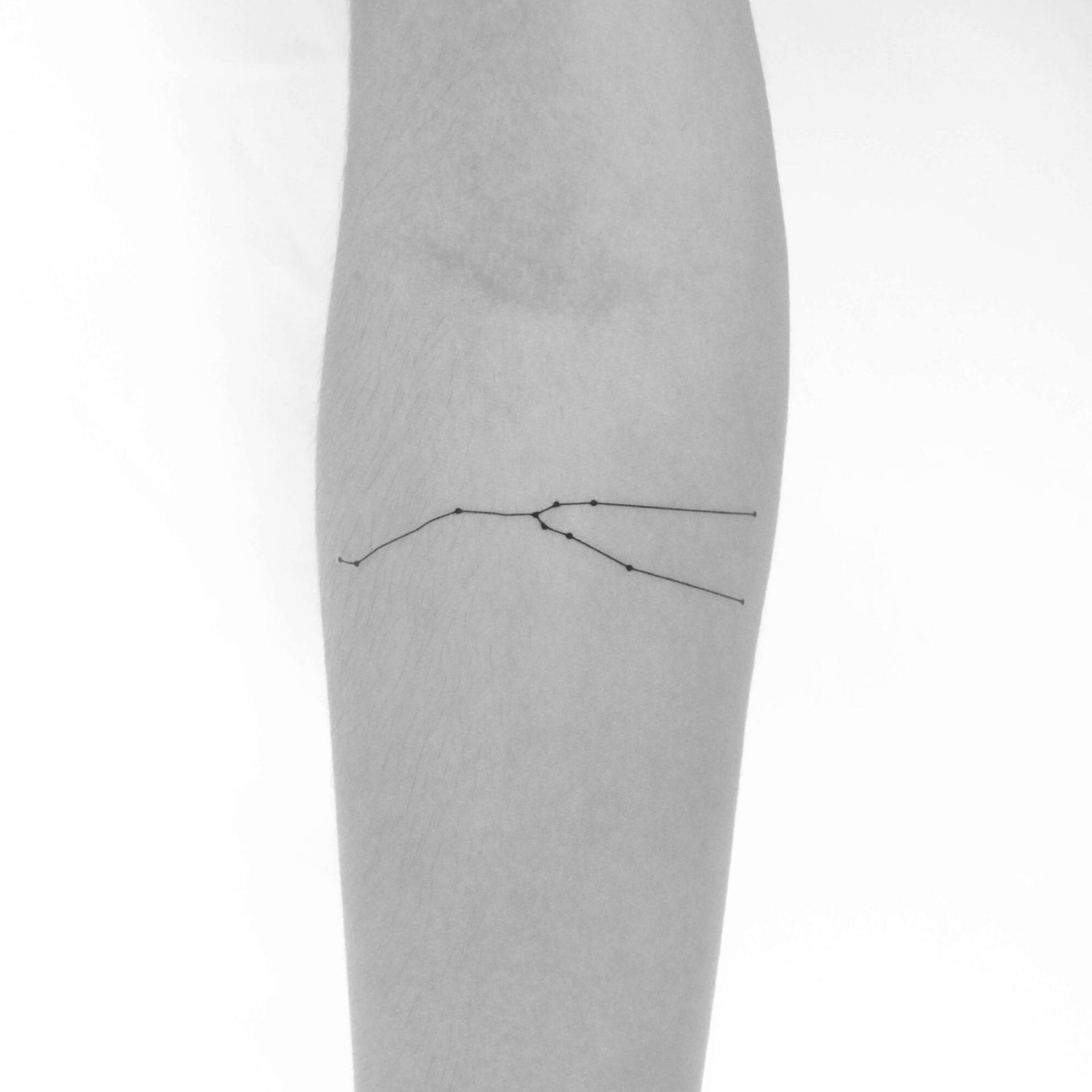 Sternbild Stier Temporäres Tattoo | 3Er Set Sternbild Stier Temporäres Tattoo | 3Er Set von Etsy - Tatteco