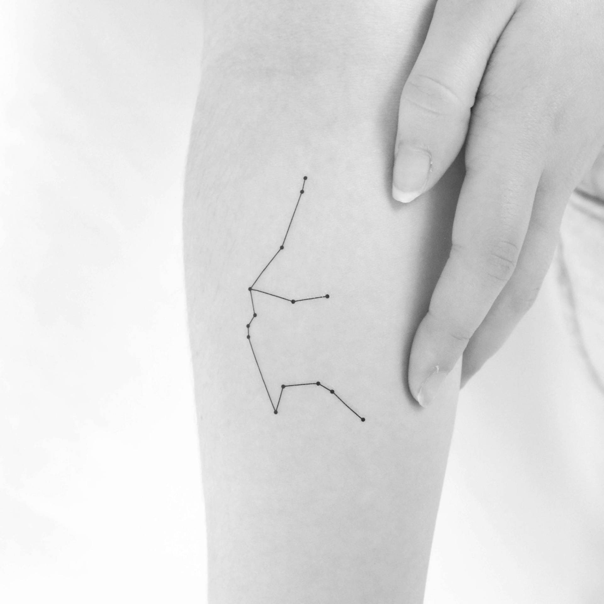 sternbild Wassermann Temporäres Tattoo | 3Er Set sternbild Wassermann Temporäres Tattoo | 3Er Set von Etsy - Tatteco