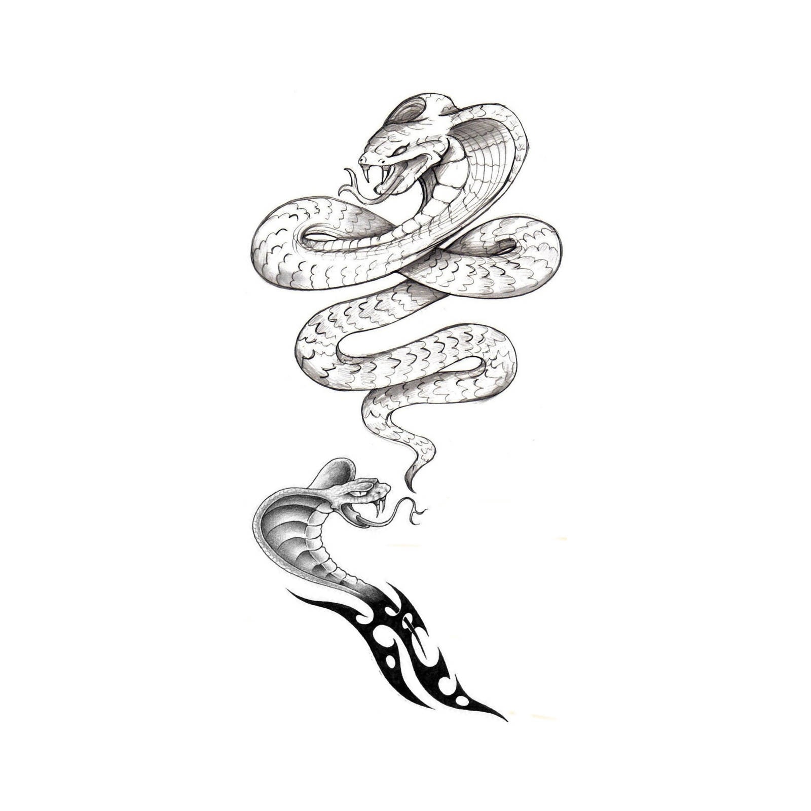 Schlange Cobra Temporäre Fake Tattoo Bold Body Art Transfer Waterpoof Ausgefallenes Kleid Schlange Cobra Temporäre Fake Tattoo Bold Body Art Transfer Waterpoof Ausgefallenes Kleid von Etsy - Tempitat