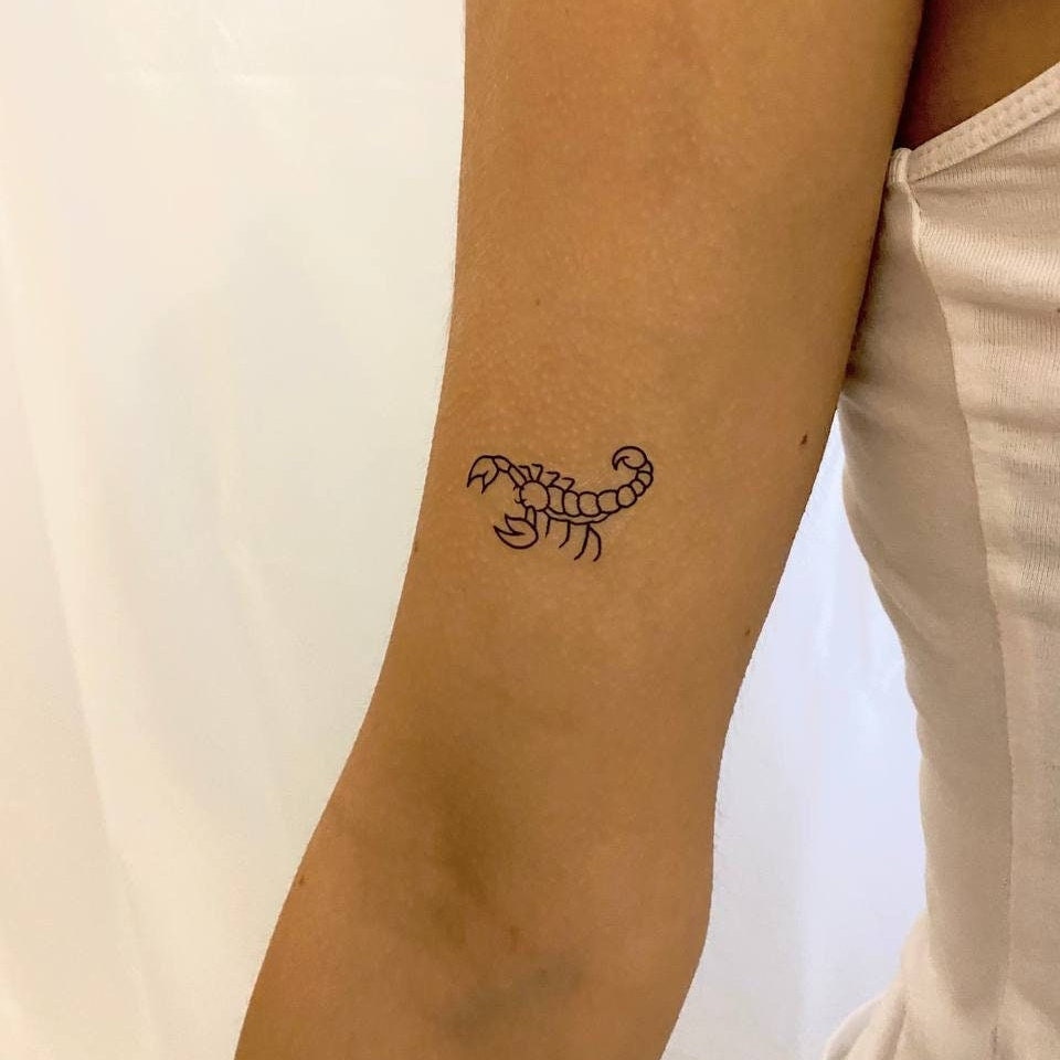 Skorpion Temporäres Tattoo | 2Er Set/Tiere Schwarz Fake Realistisch Spinnentier Skorpion Temporäres Tattoo | 2Er Set/Tiere Schwarz Fake Realistisch Spinnentier von Etsy - TemporaryTattooInc